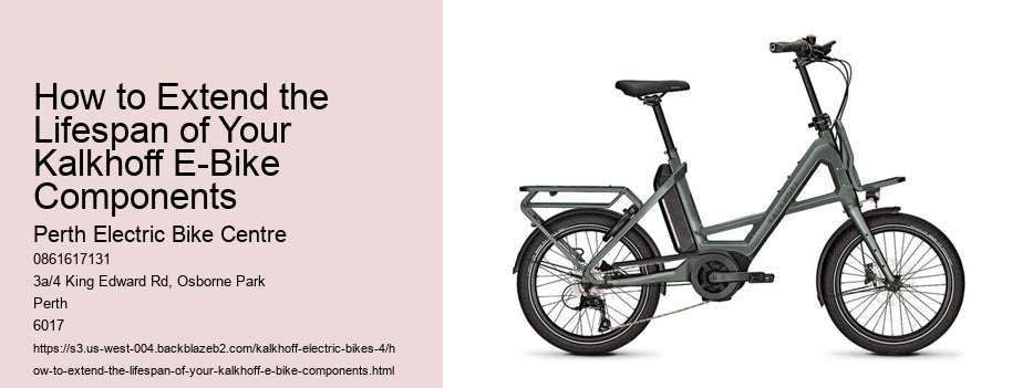 How to Extend the Lifespan of Your Kalkhoff E-Bike Components  