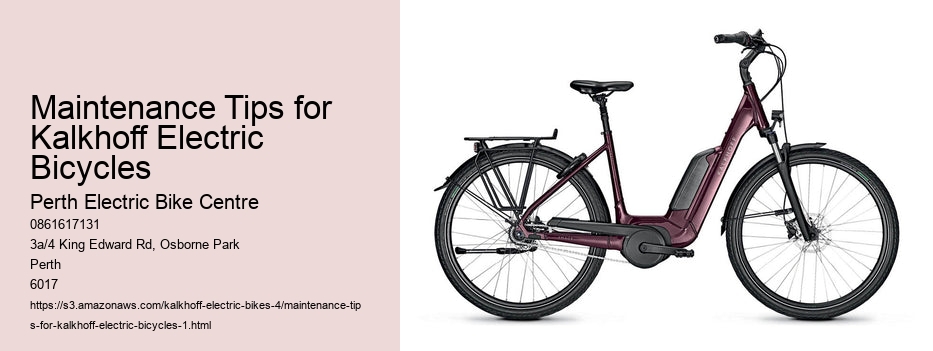 Maintenance Tips for Kalkhoff Electric Bicycles  