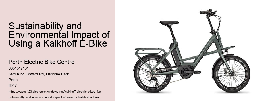 Sustainability and Environmental Impact of Using a Kalkhoff E-Bike  