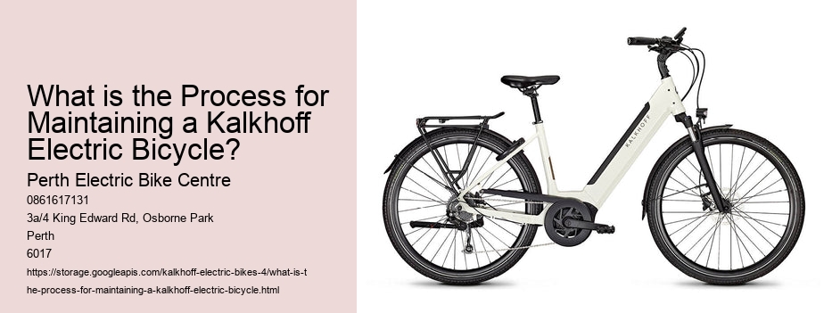 What is the Process for Maintaining a Kalkhoff Electric Bicycle?