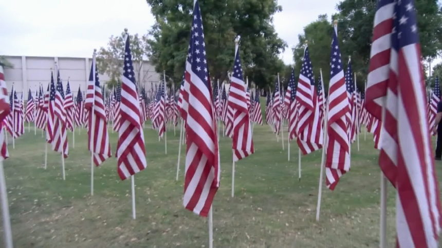 HEALING FIELDS