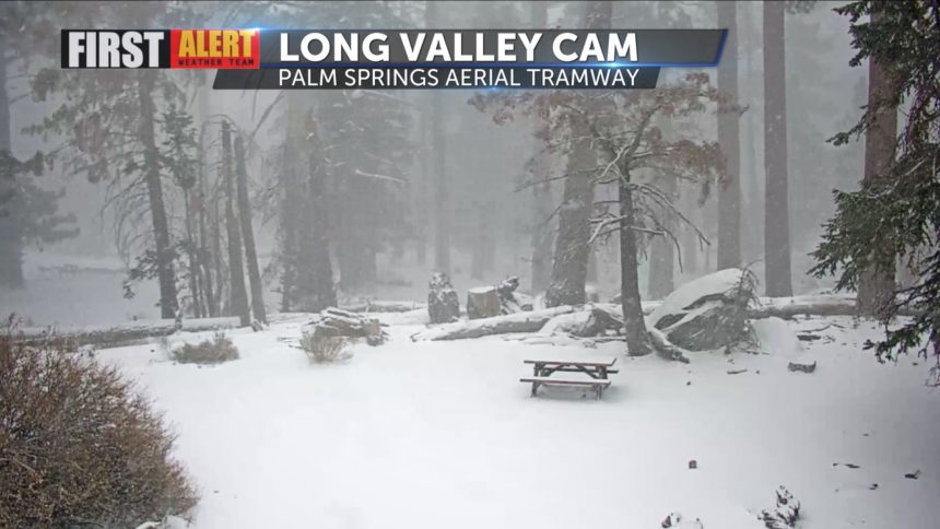 View from the Palm Springs Aerial Tramway