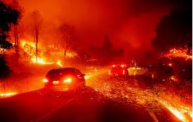 kincade fire