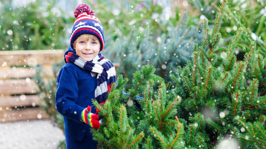 real-christmas-tree_1543440911581_22082317_ver1.0_1280_720