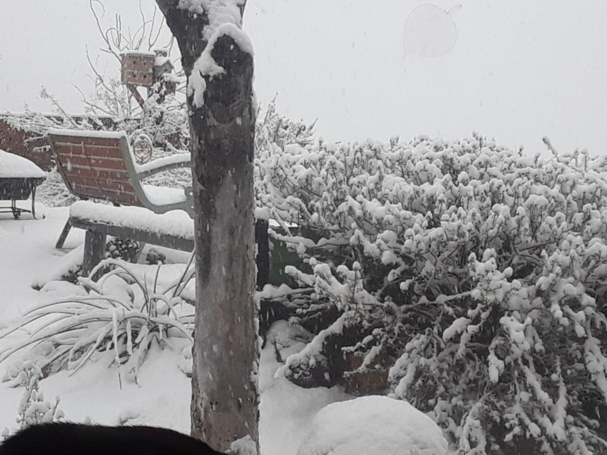 12-26-YUCCA-VALLEY-SNOW-WANDA-GEMSON (5)