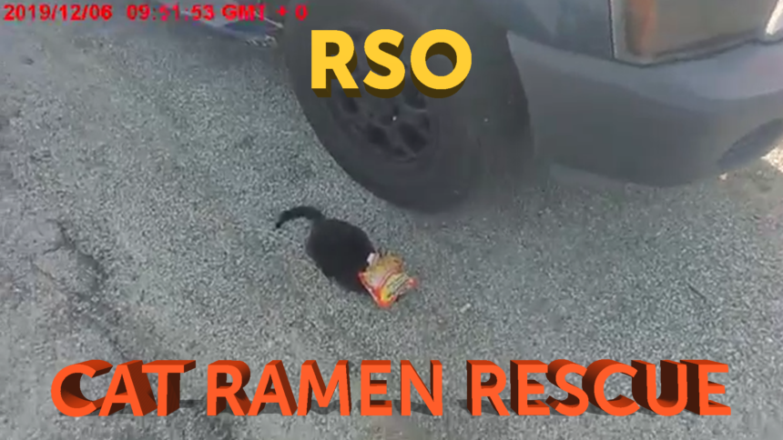 12-6-CAT-RAMEN-RESCUE