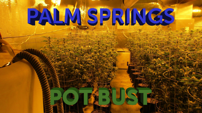 12-9-PALM-SPRINGS-POT-BUST-GFX