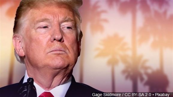 DONALD TRUMP CALIFORNIA PALM TREES