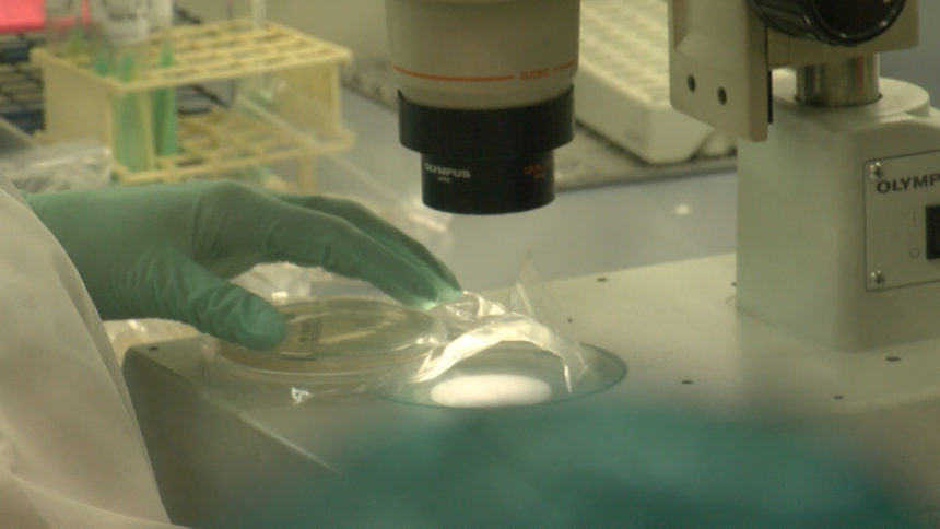 RIV CO LAB 3