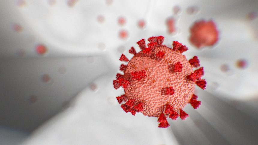 https___cdn.cnn.com_cnnnext_dam_assets_200320110619-coronavirus-animation