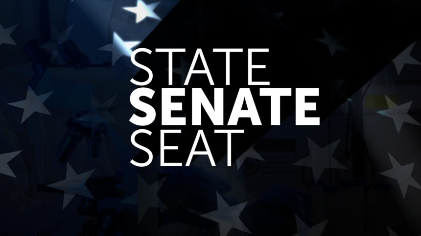 STATE SENATE SEAT MONITOR WALL AND FULL SCREEN