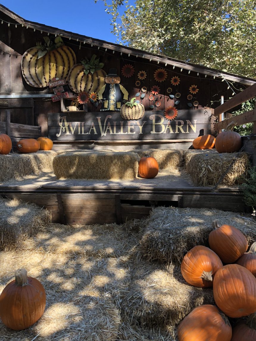 2019_Halloween_2419