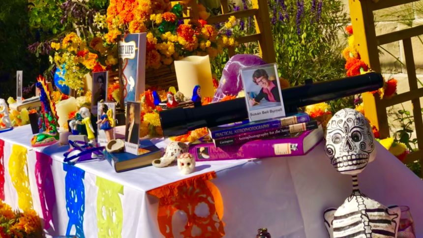 Dia de Los Muertos Natural history Museum