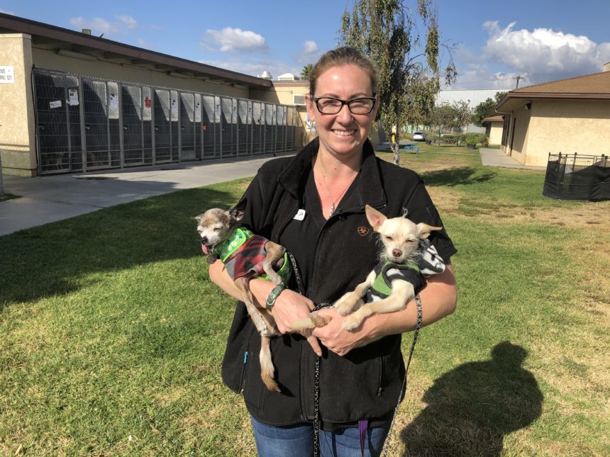Ventura County Animal Shelter