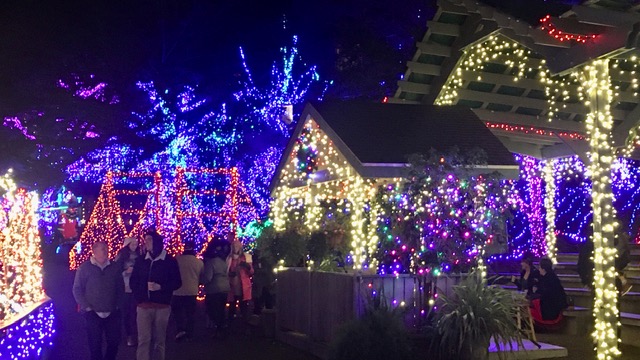 Cambria Xmas Market Pic