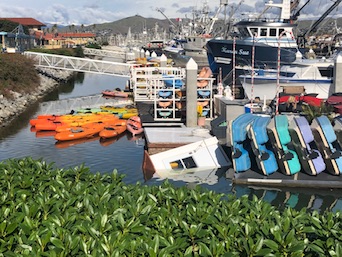 Ventura Harbor tornado
