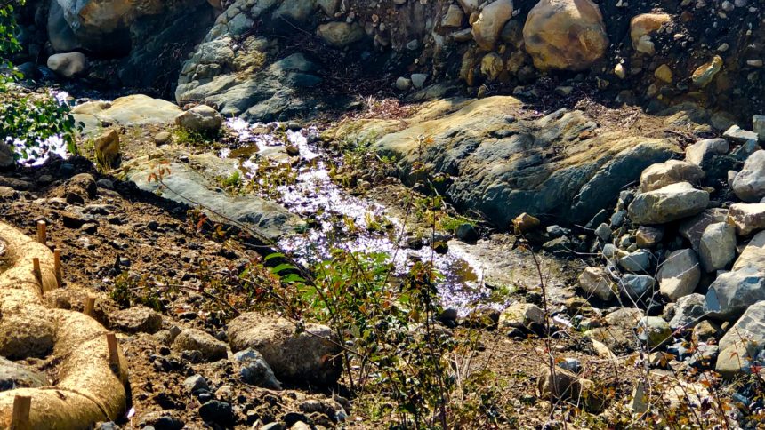 Montecito creek December 2019