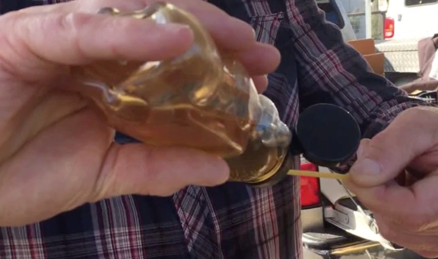 Phacelia Honey