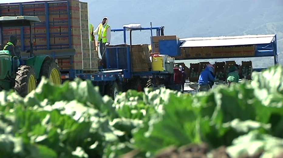 FARM WORKERS