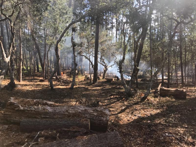 Cambria pile burns