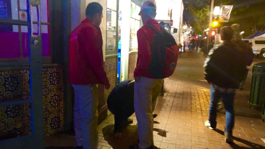 Downtown Ambassadors