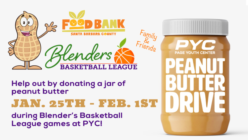 PB Drive Video Board