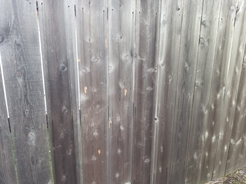 bullet holes 3