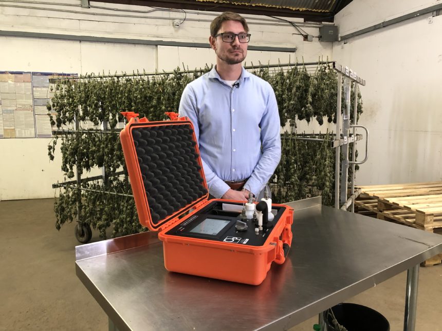 Hemp vs Pot