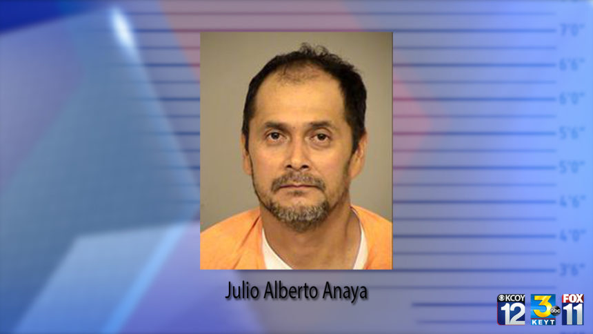 julio anaya, predator