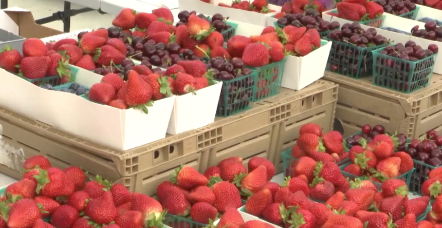 Arroyo Grande Strawberry Festival