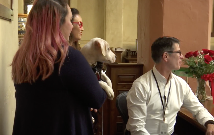 Dogs join wedding parties on Valentine's Day at the Santa ...