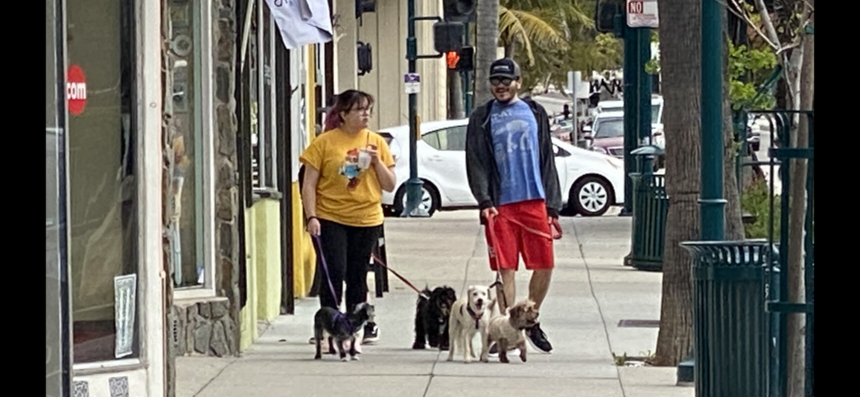 Dog walkers exercise