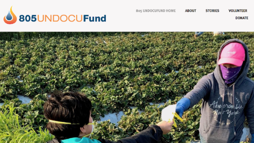 805 Undocufund
