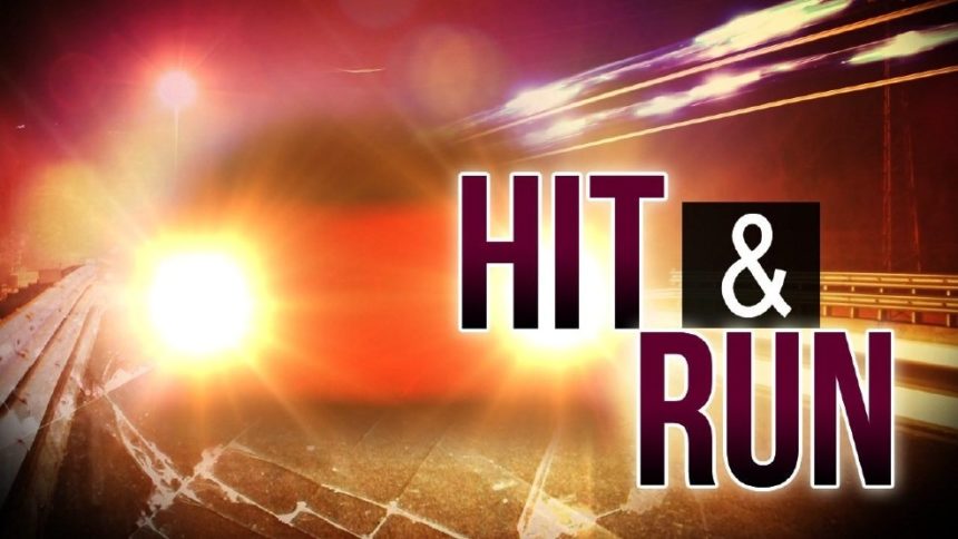 hit-and-run hit and run generic mgn