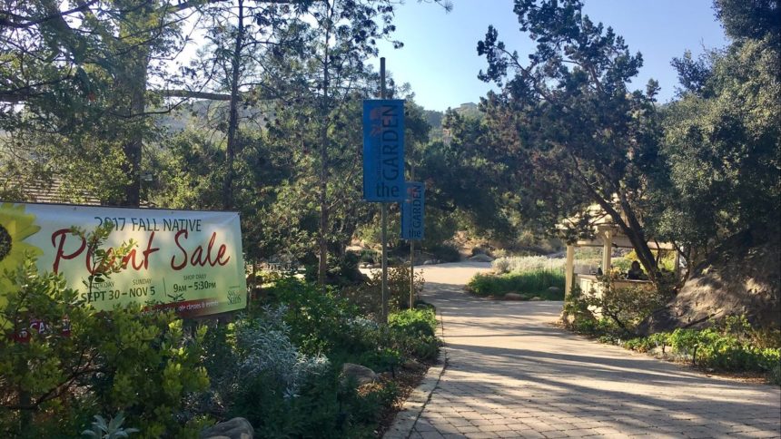 Santa Barbara Botanic Garden Closes Amid Coronavirus Concerns