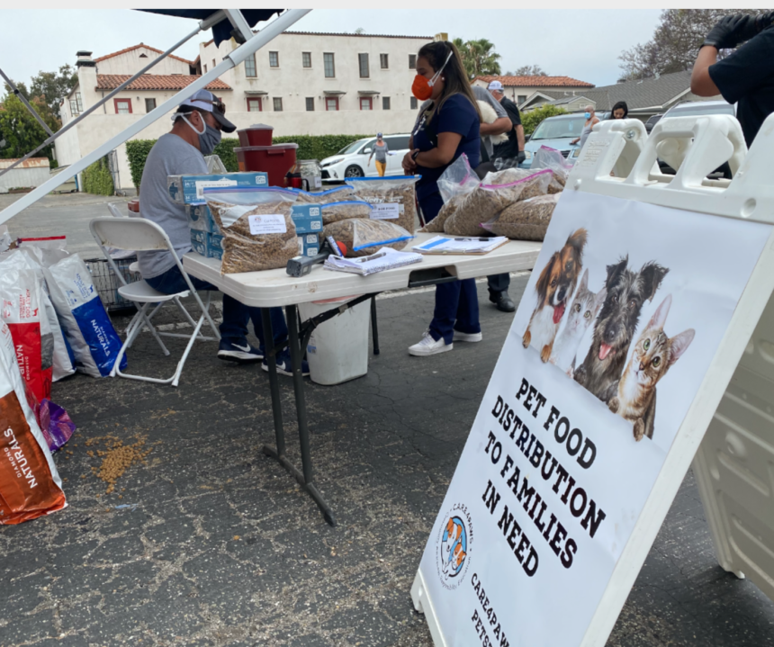 Care 4 Paws