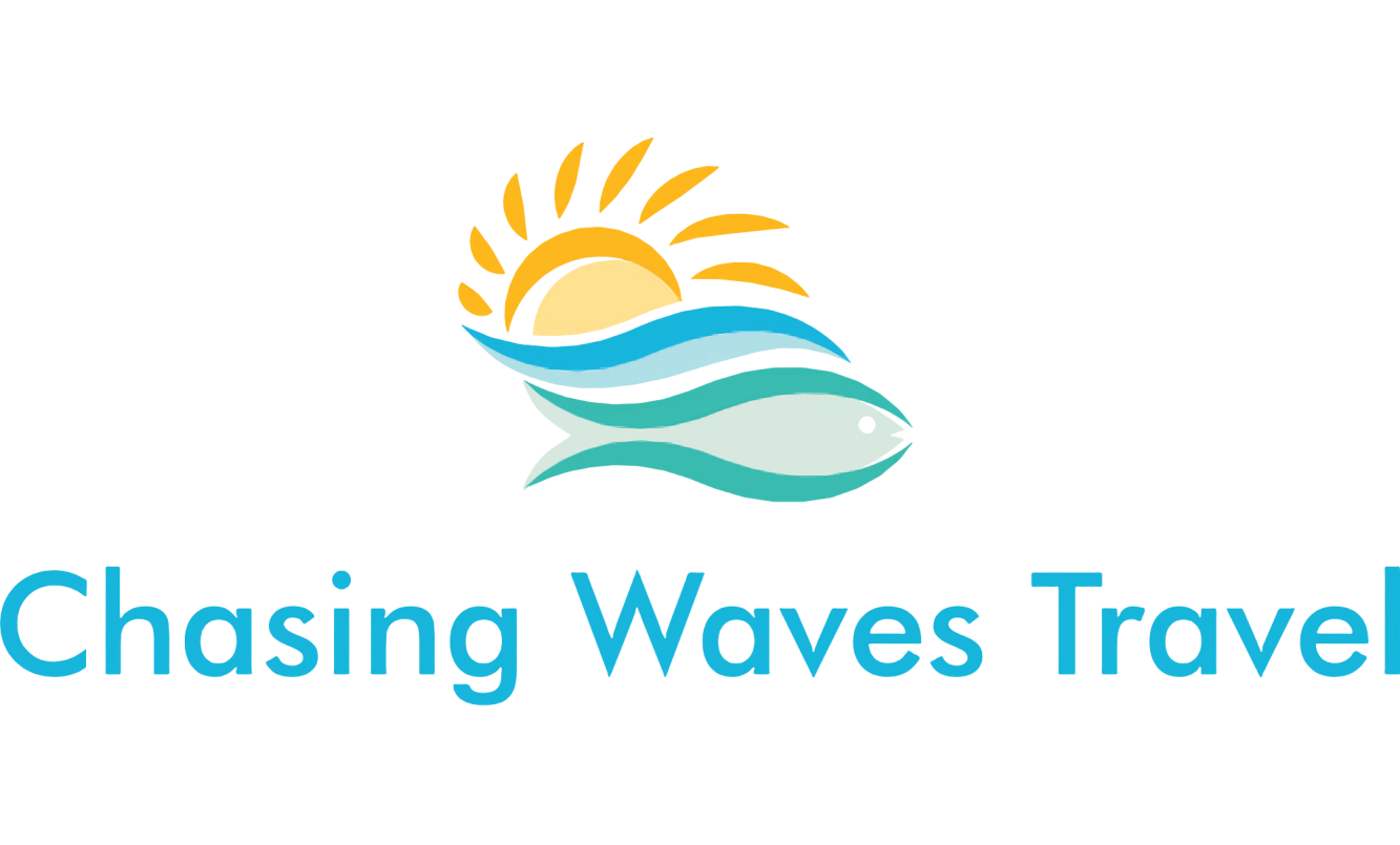 Chasing Waves Travel