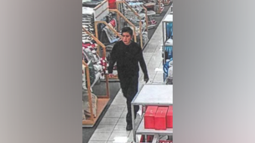 capitola peeping suspect 2