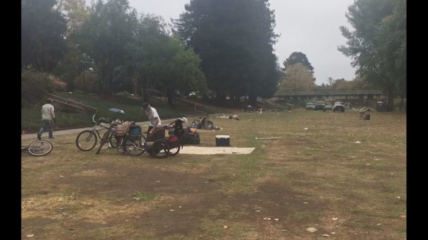 sc homeless pic