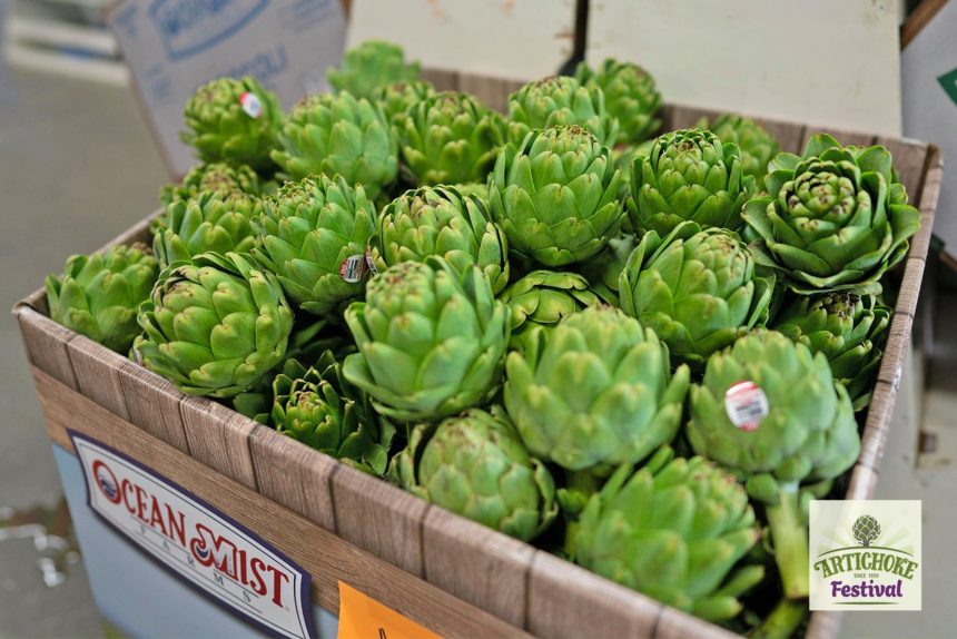 artichoke festival