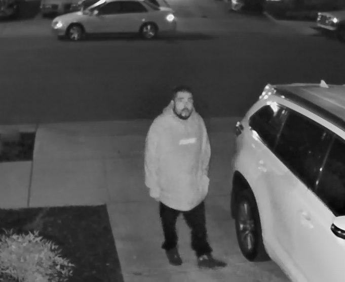 hollister vehicle theft