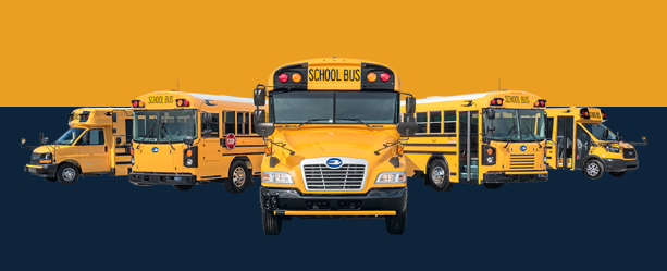 blue bird school buses