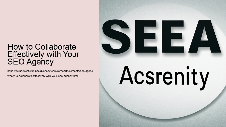 How to Collaborate Effectively with Your SEO Agency