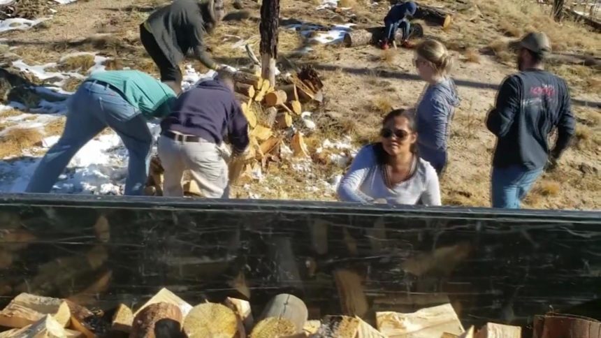 black forest donated wood