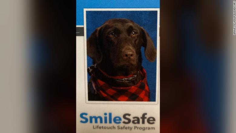 191107154607-service-dog-yearbook-arkansas-trnd-exlarge-169