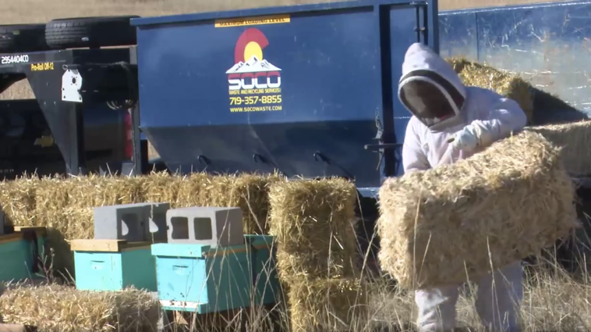 bee keeper hay winter