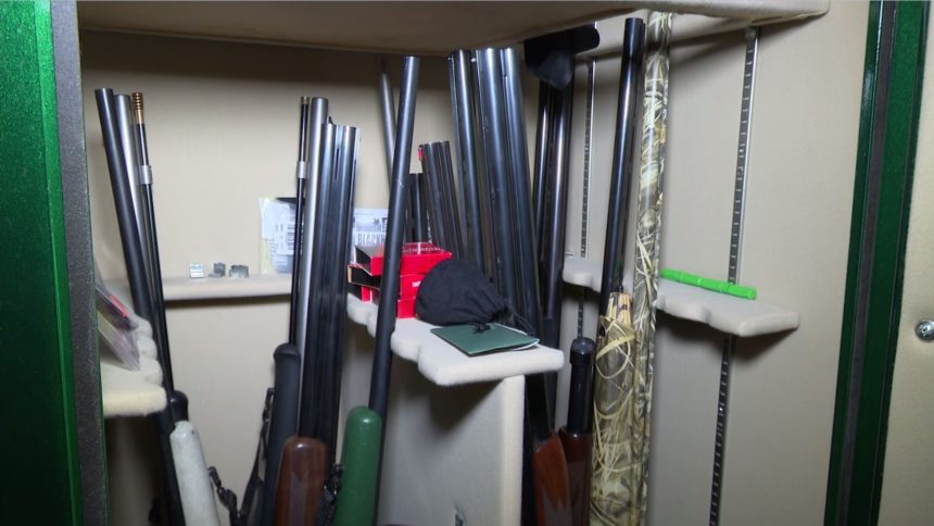 guns in gun safe Cropped