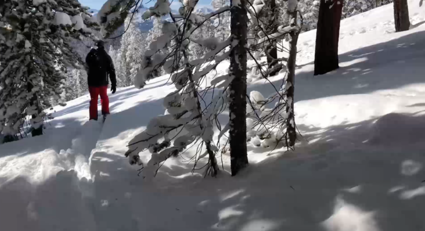 Screen Shot 2019-12-14 at 6.20.50 AM