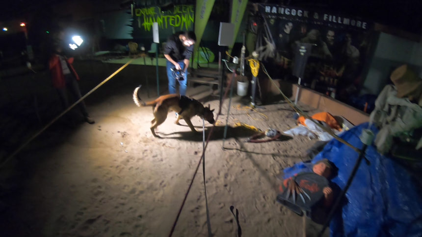 K9 training in haunted house