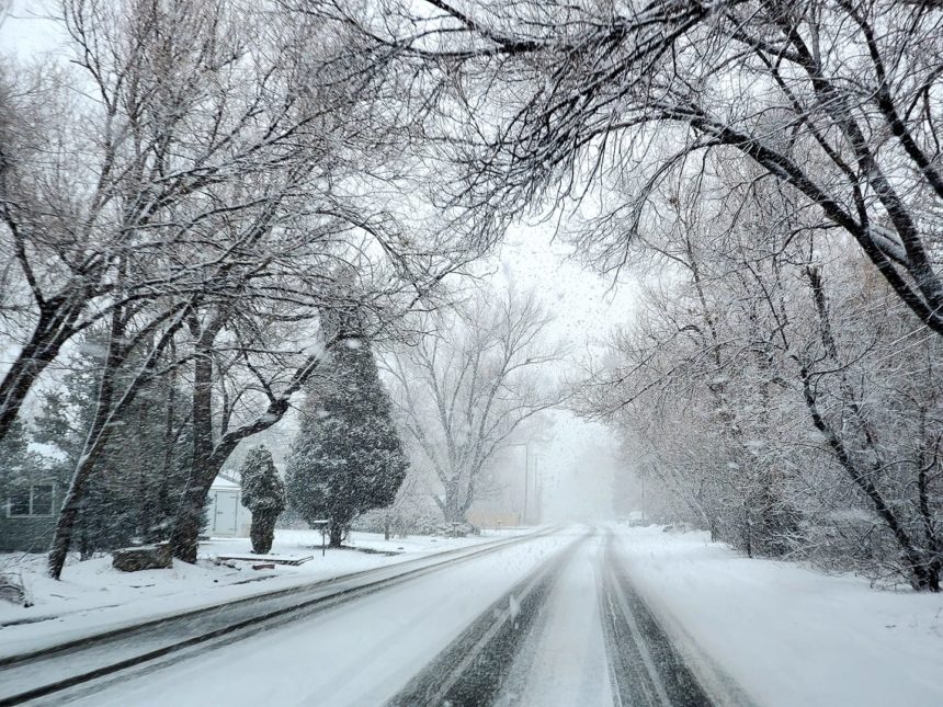 Alyssa Kline snow